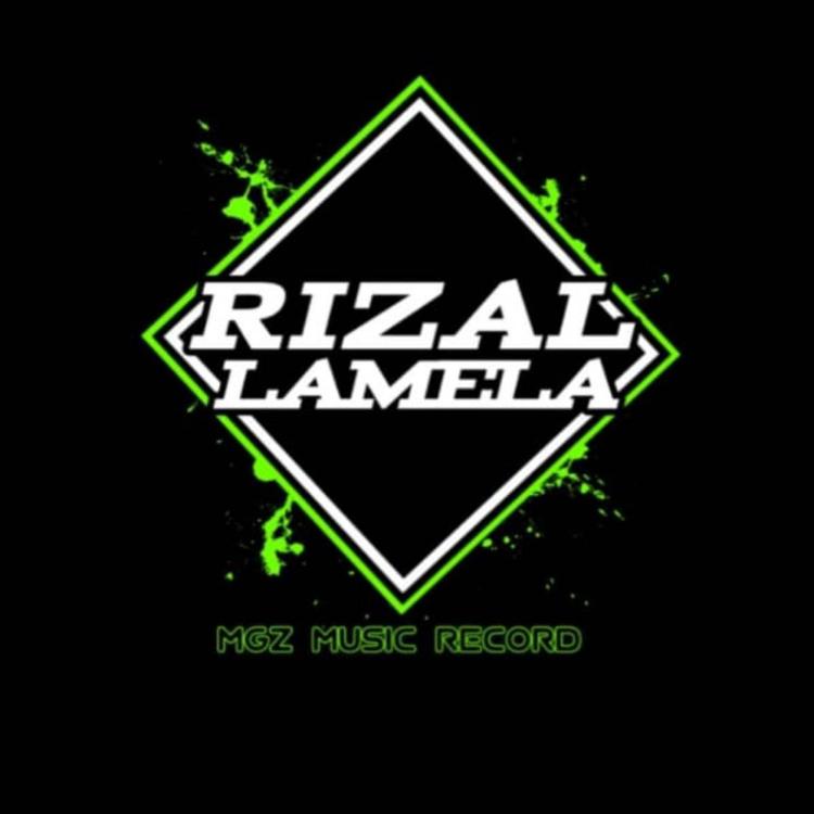 Rizal Lamela's avatar image