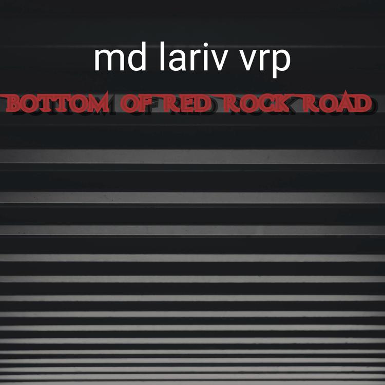 md lariv vrp's avatar image