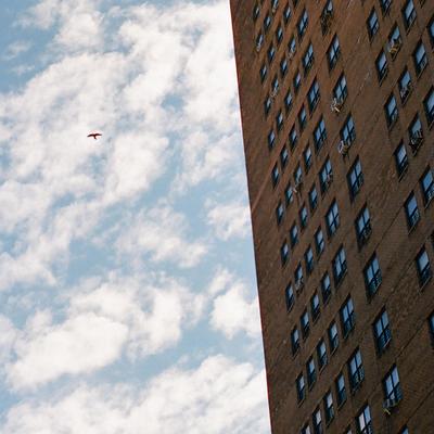 Rooftop By Slo Loris's cover