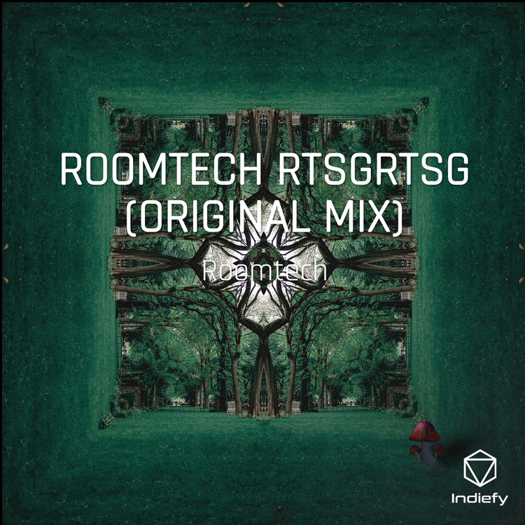 Roomtech's avatar image