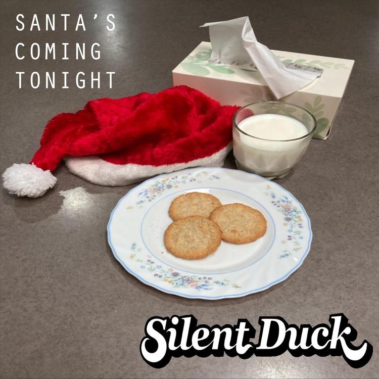 Silent Duck's avatar image
