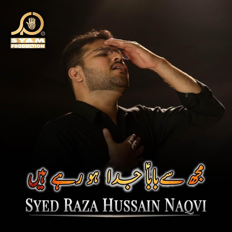 Syed Raza Hussain Naqvi's avatar image