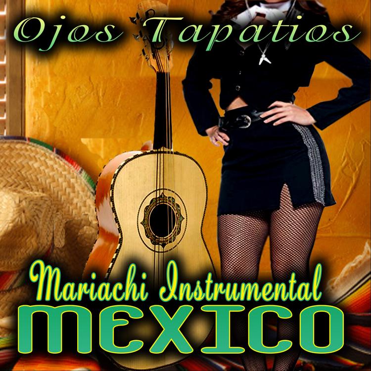 Mariachi Instrumental Mexico's avatar image
