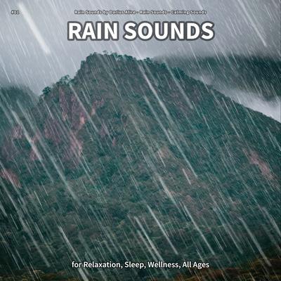 #01 Rain Sounds for Relaxation, Sleep, Wellness, All Ages's cover