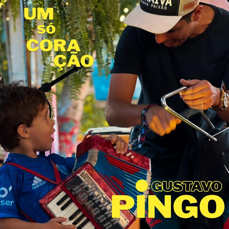 Gustavo Pingo's avatar image