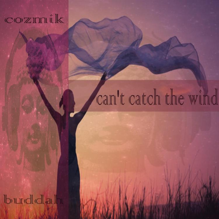 Cozmik Buddah's avatar image