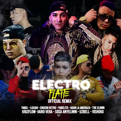 Electroflaite (Remix)'s cover