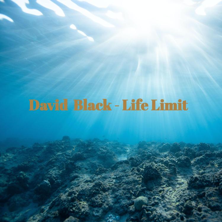 David Black's avatar image