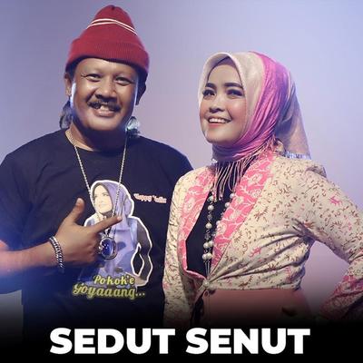 Sedut Senut's cover