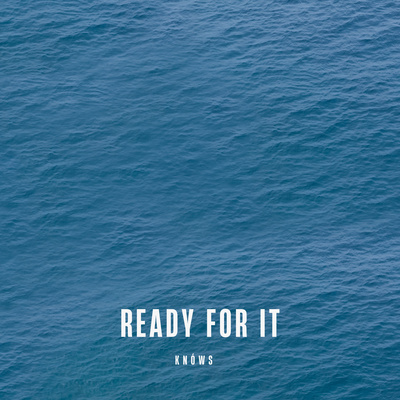 Ready For It By Knows's cover