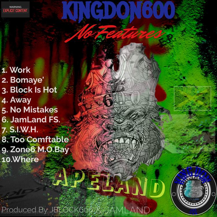 King Don600's avatar image