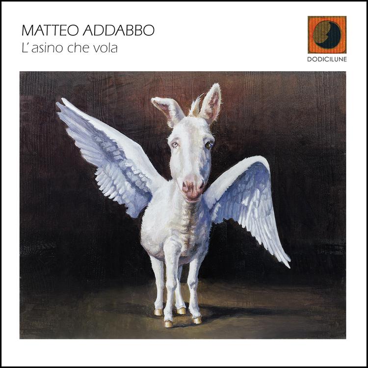 Matteo addabbo's avatar image