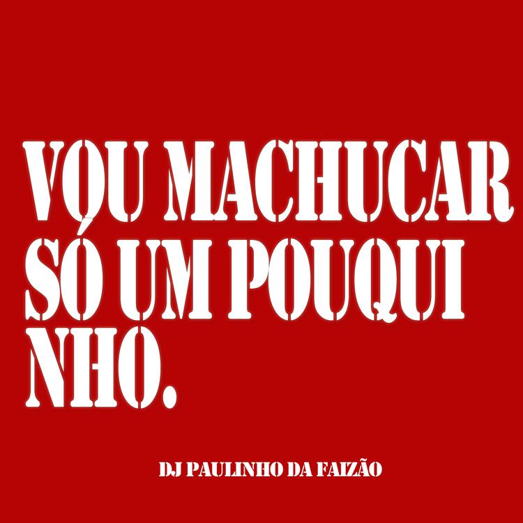 DJ PAULINHO DA FAIZÃO's avatar image