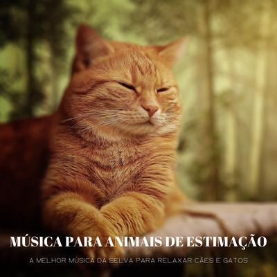 Como Um Sonho De Gato By Dormir Profundamente, Música Relax para Cafe, Sonidos De Todos Ruídos's cover