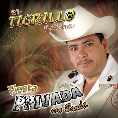 Fiesta Privada Con Banda's cover
