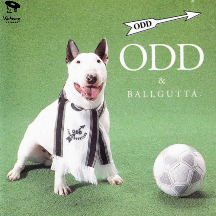 Odd og Ballgutta's avatar image