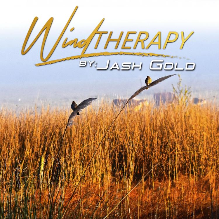Jash Gold's avatar image