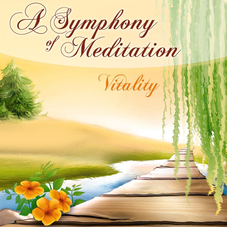 A Symphony of Meditation's avatar image