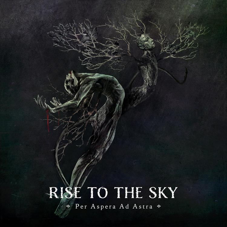 Rise to the Sky's avatar image