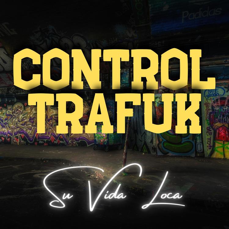 CONTROL TRAFUK's avatar image