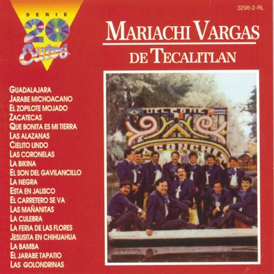 La Culebra By Mariachi Vargas de Tecalitlán's cover