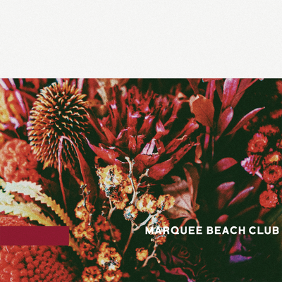 MARQUEE BEACH CLUB's cover