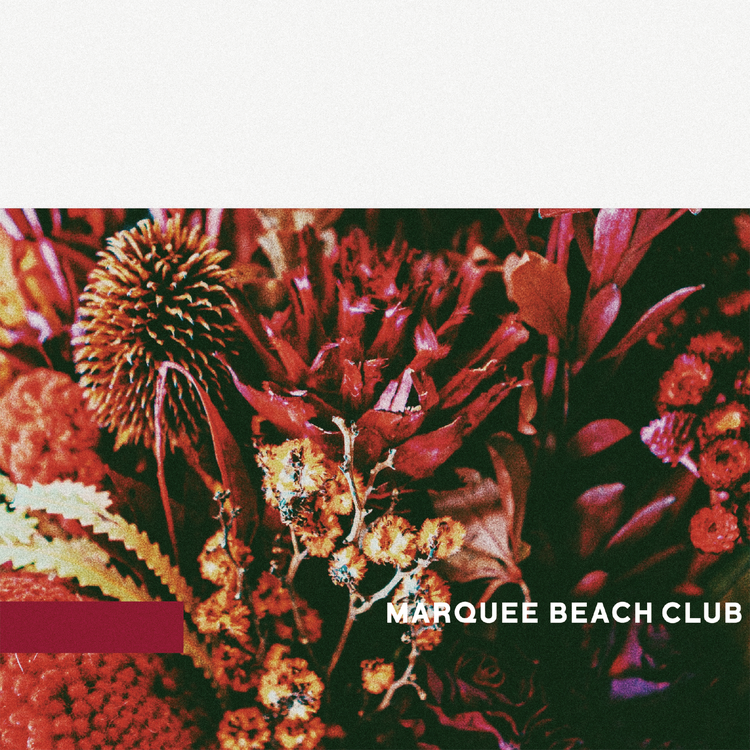 MARQUEE BEACH CLUB's avatar image