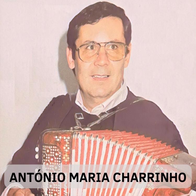 António Maria Charrinho's avatar image