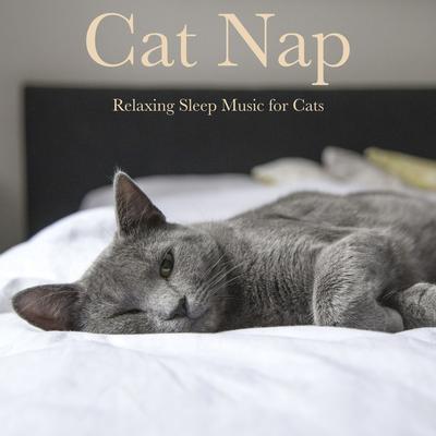 Cat Nap (Relaxing Sleep Music for Cats)'s cover