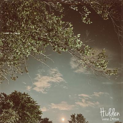 Hidden By Luna Grove's cover