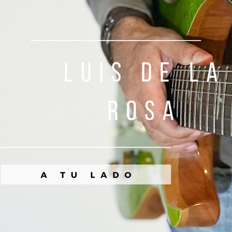 Luis de la Rosa's avatar image