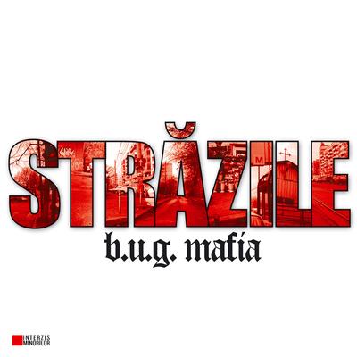 Strazile (Maxi-Single)'s cover
