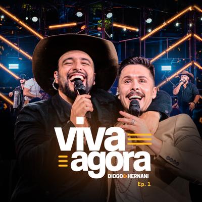 Viva Agora (Ao Vivo)'s cover