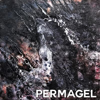 Ignot By Permagel's cover