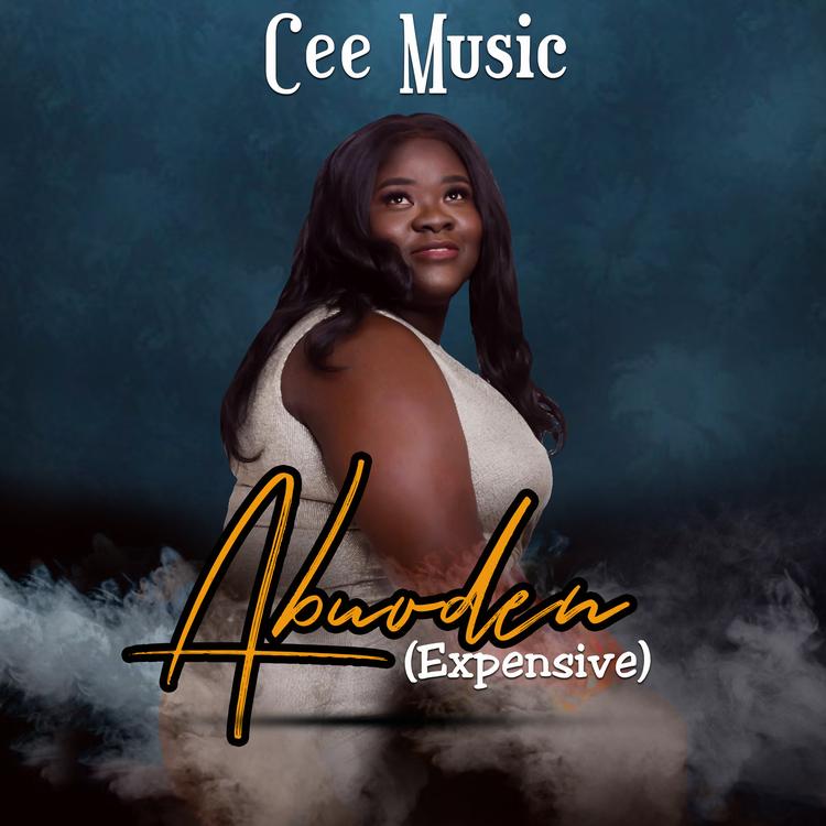 Cee Music's avatar image