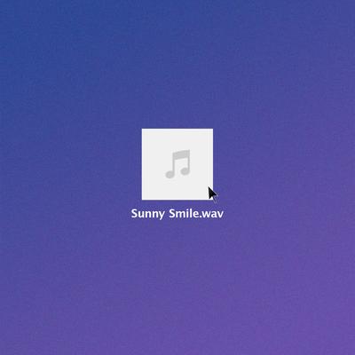 Sunny Smile By Finder's cover