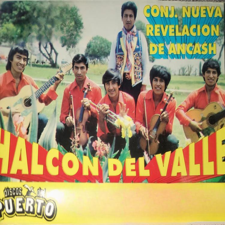 Halcón del Valle's avatar image