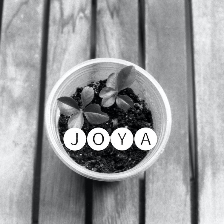 Joya's avatar image