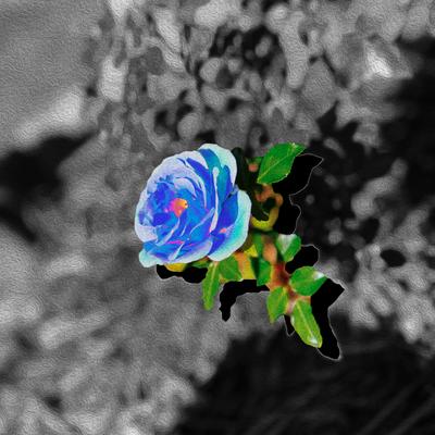Blue Rose's cover