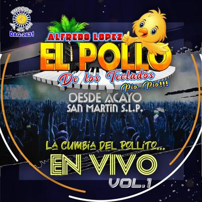 Desde Acayo, San Martin S.L.P. En Vivo, Vol. 1's cover