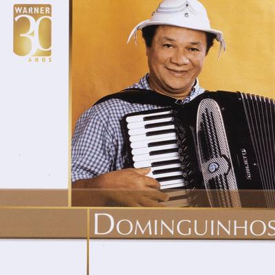 Pedacinhos do céu By Dominguinhos's cover