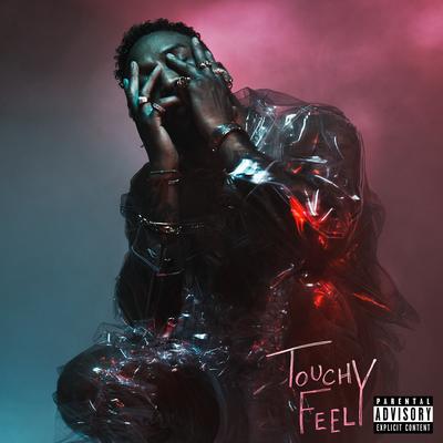 Touchy Feely By Ro James's cover