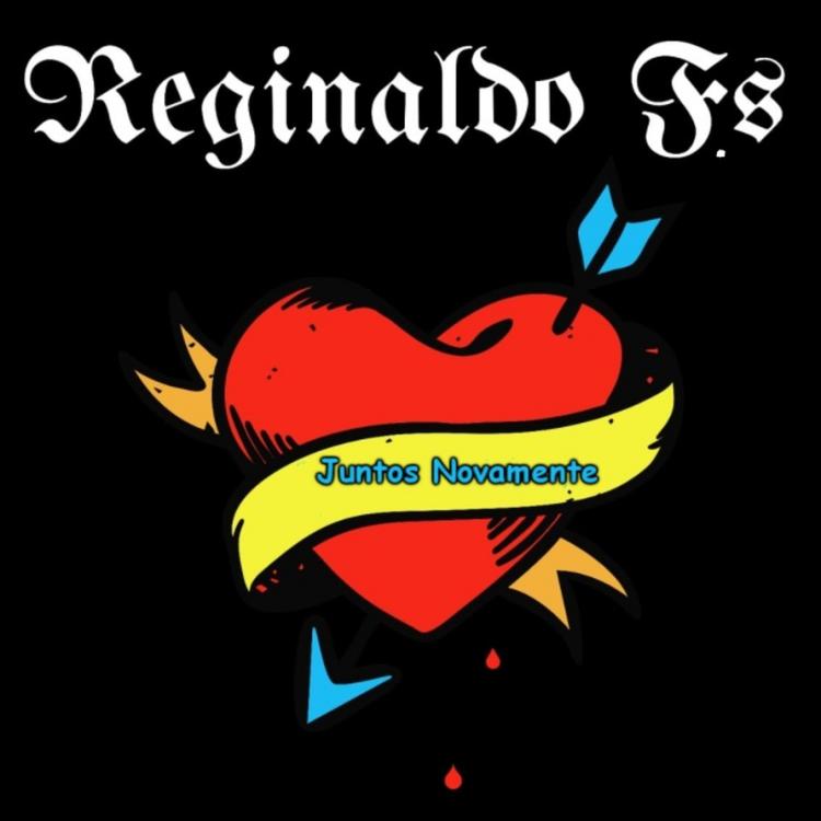 Reginaldo F.S's avatar image