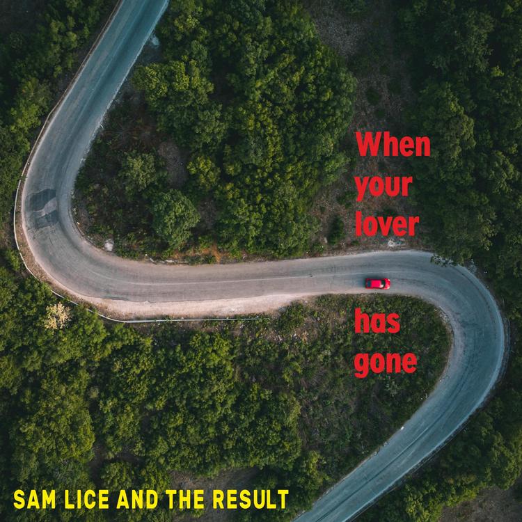 Sam Lice and the Result's avatar image