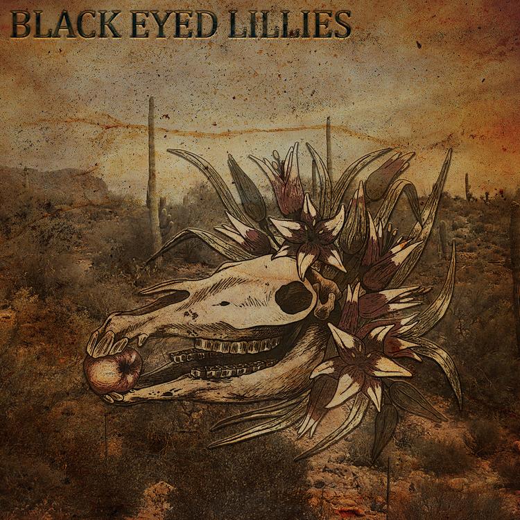 Black Eyed Lillies's avatar image