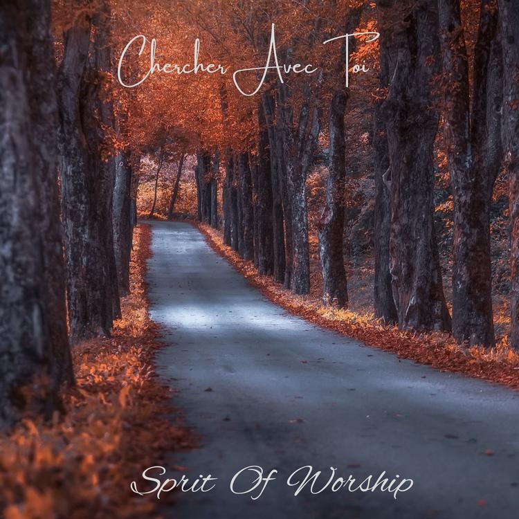 Spirit of Worship's avatar image