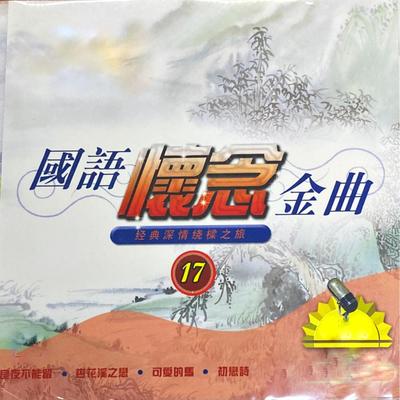 国语怀念金曲 17's cover