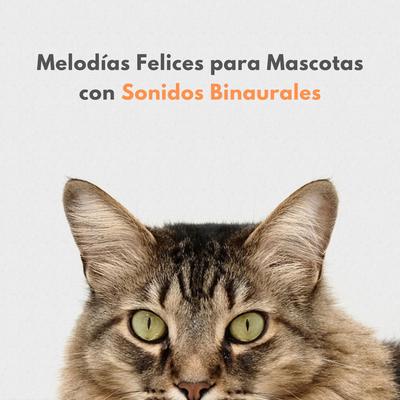 Ritmos Emocionantes By Universo De Latidos Binaurales, Mascotas relajarse, Perros y gatos felices's cover