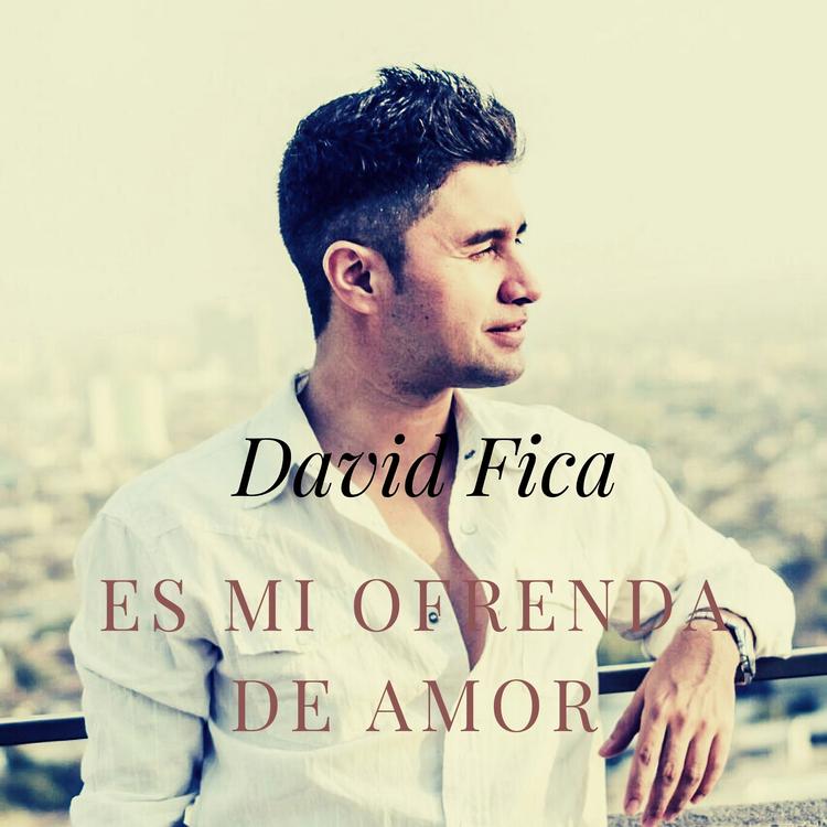 David Fica's avatar image