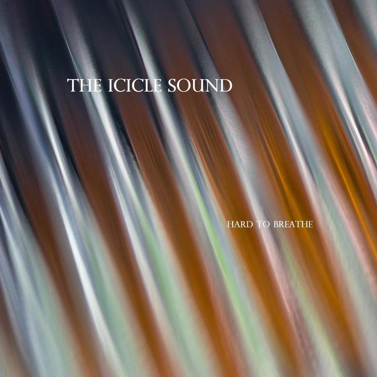 The Icicle Sound's avatar image